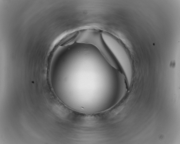 X0000092011316200709061524