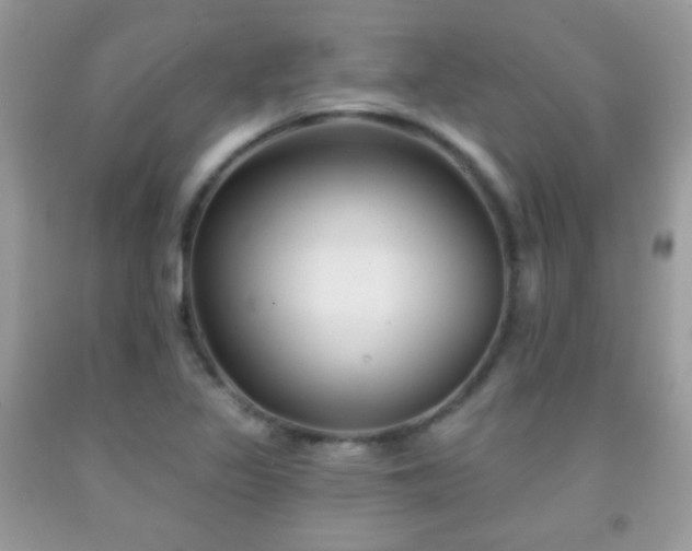 X0000092011317200709061524