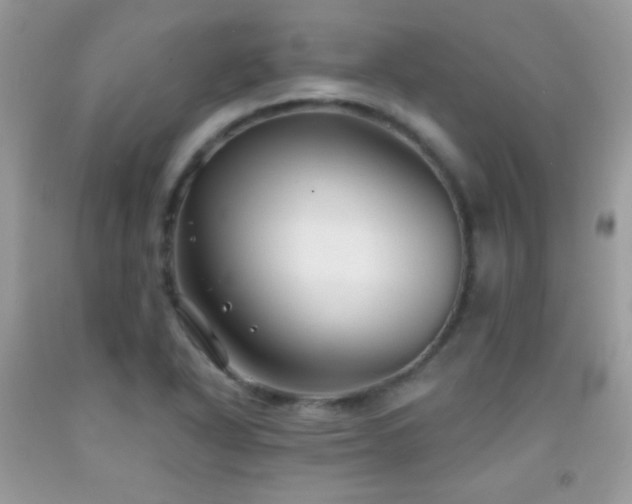 X0000092011318200709061524
