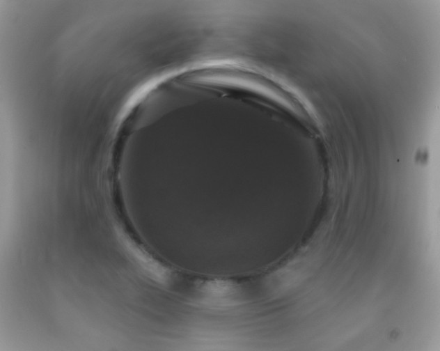 X0000092011319200709061524