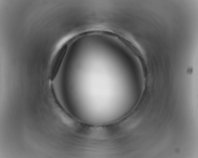 X0000092011320200709061524