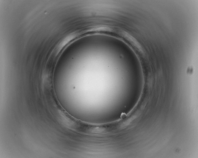 X0000092011321200709061524