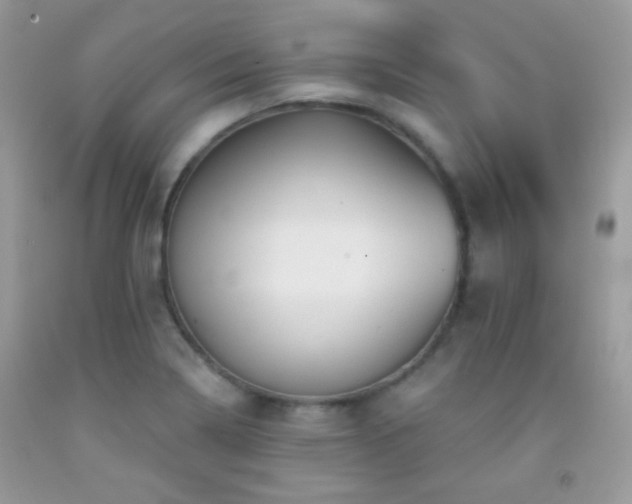 X0000092011322200709061524