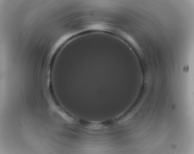 X0000092011323200709061524