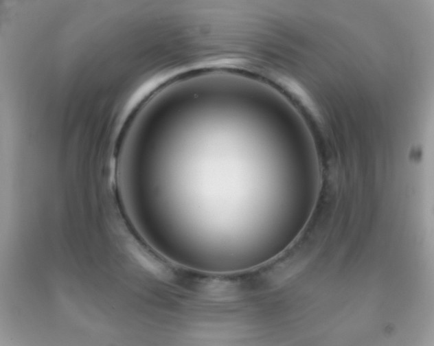 X0000092011324200709061524