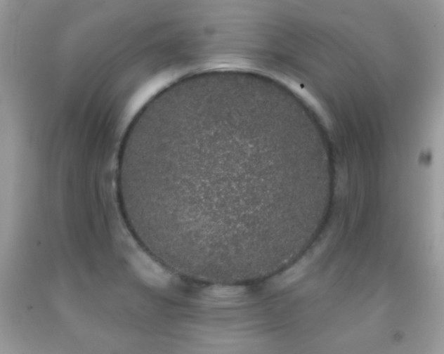 X0000092011325200709061524