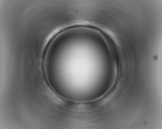 X0000092011326200709061524