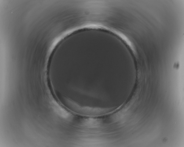 X0000092011327200709061524