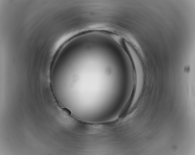 X0000092011328200709061524