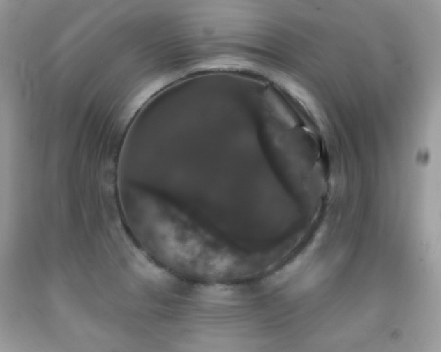 X0000092011329200709061524