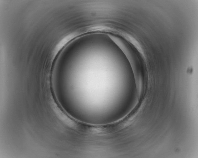 X0000092011330200709061524