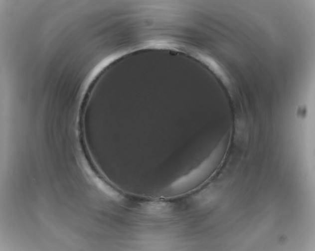 X0000092011331200709061524