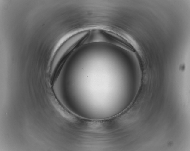 X0000092011332200709061524