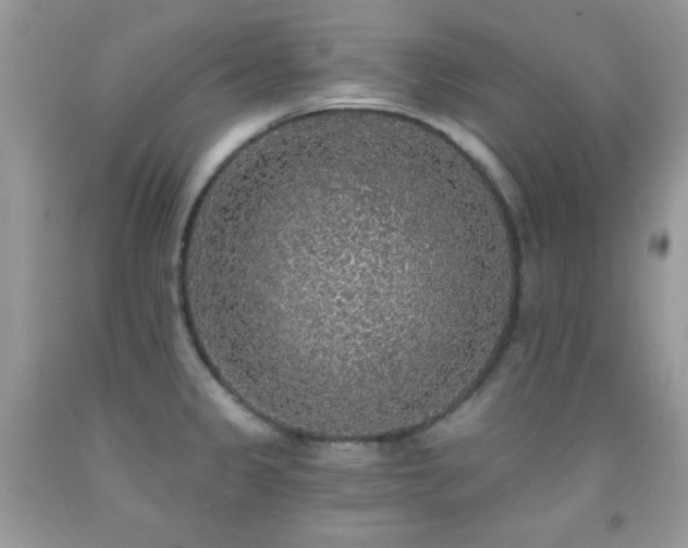 X0000092011333200709061524