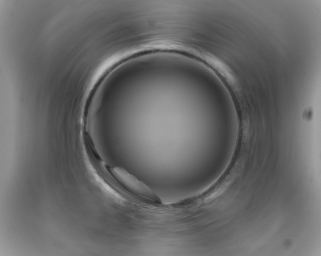 X0000092011334200709061524