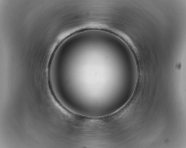 X0000092011335200709061524
