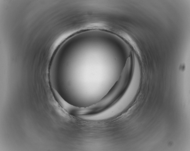 X0000092011336200709061524