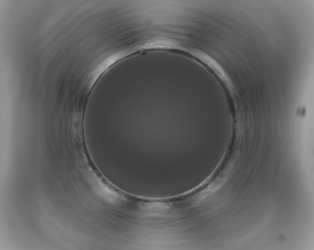 X0000092011337200709061524