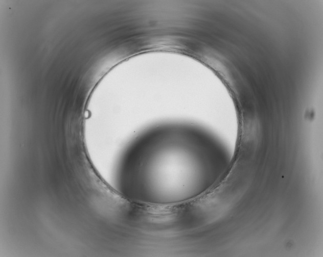 X0000092011338200709061524