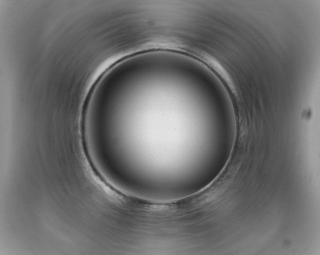 X0000092011339200709061524