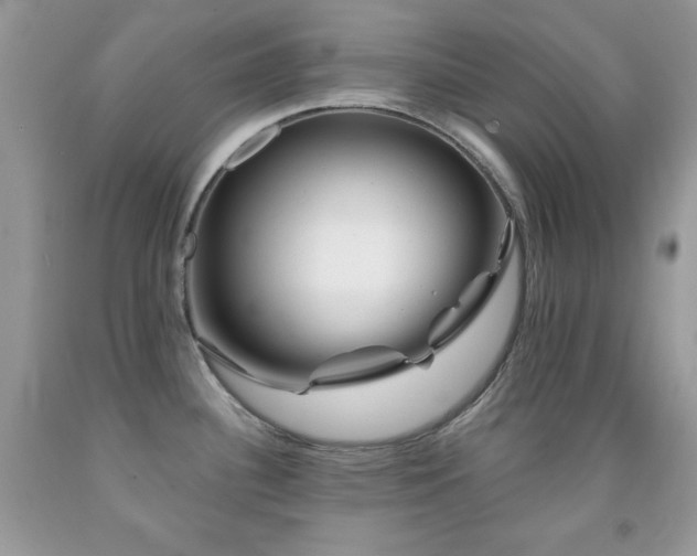 X0000092011340200709061524