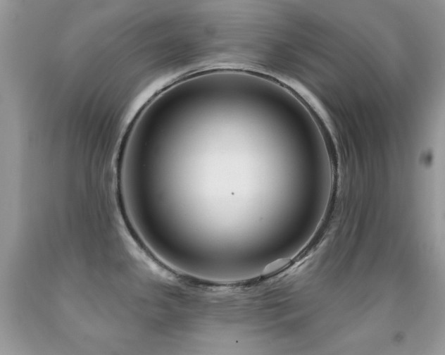 X0000092011341200709061525
