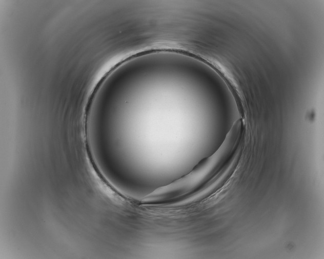 X0000092011342200709061525