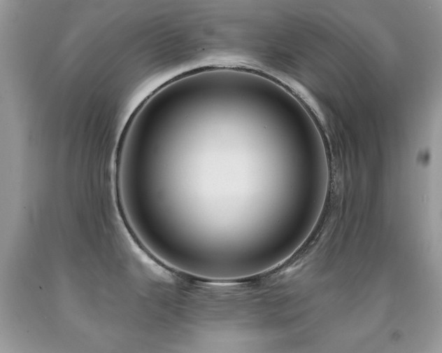 X0000092011343200709061525