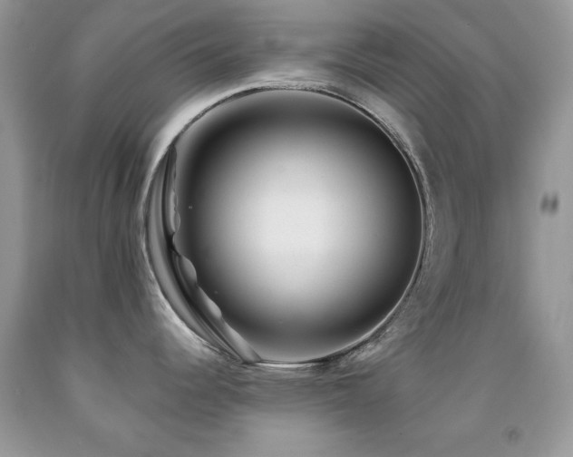 X0000092011344200709061525