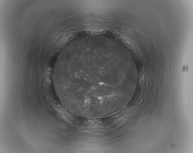 X0000092011346200709061524
