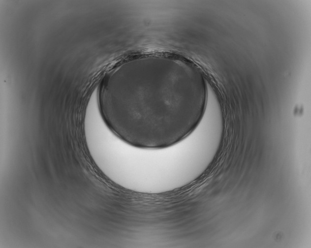 X0000092011348200709061524
