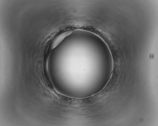 X0000092011349200709061524