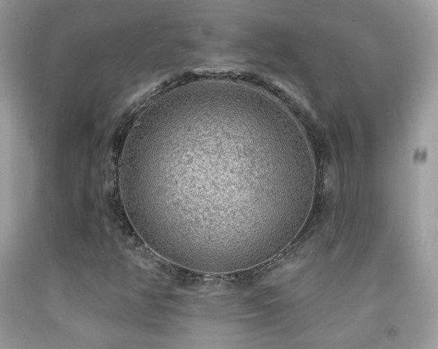 X0000092011350200709061524