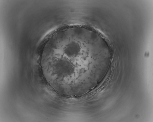 X0000092011351200709061524