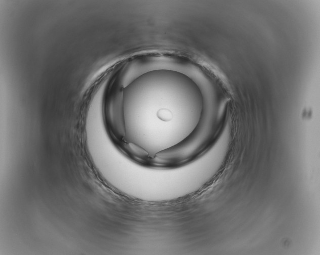 X0000092011352200709061524
