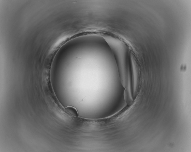 X0000092011355200709061524