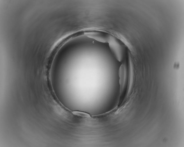 X0000092011356200709061524