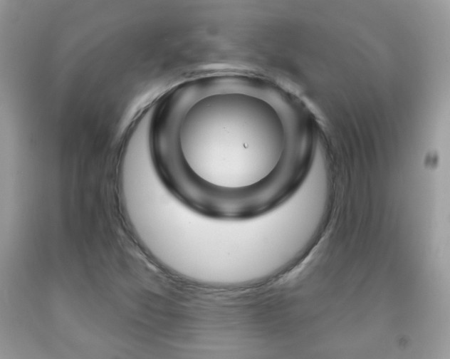 X0000092011357200709061524