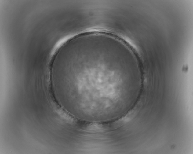 X0000092011358200709061524