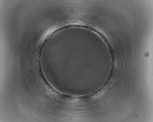 X0000092011359200709061524