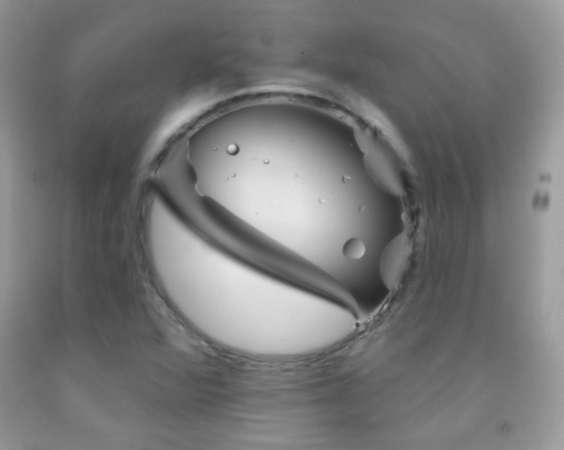 X0000092011360200709061524