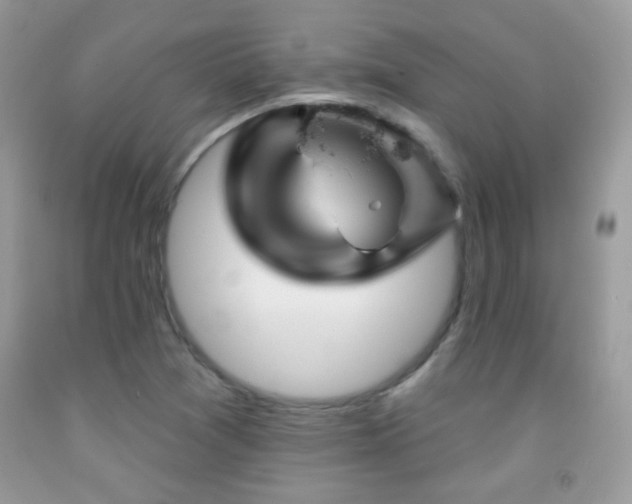 X0000092011361200709061524