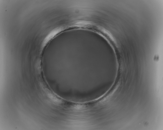 X0000092011362200709061524