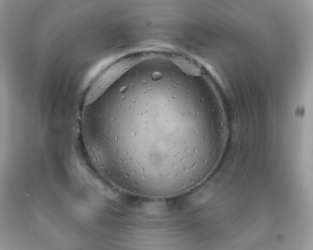 X0000092011363200709061524
