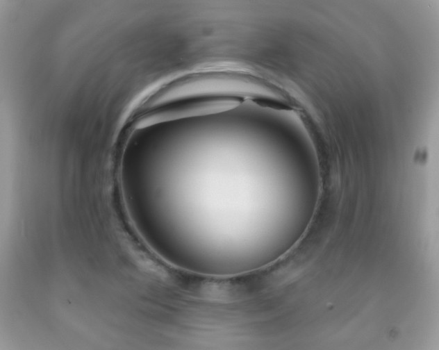 X0000092011364200709061524