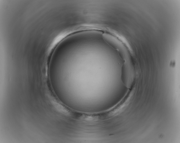 X0000092011365200709061524