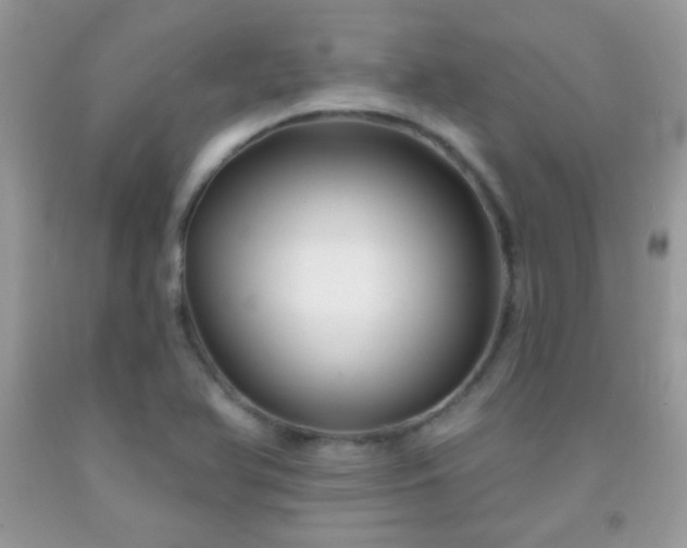 X0000092011366200709061524