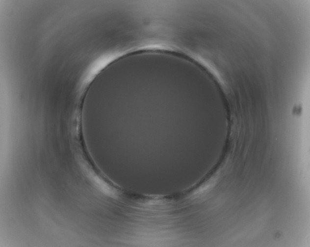X0000092011367200709061524