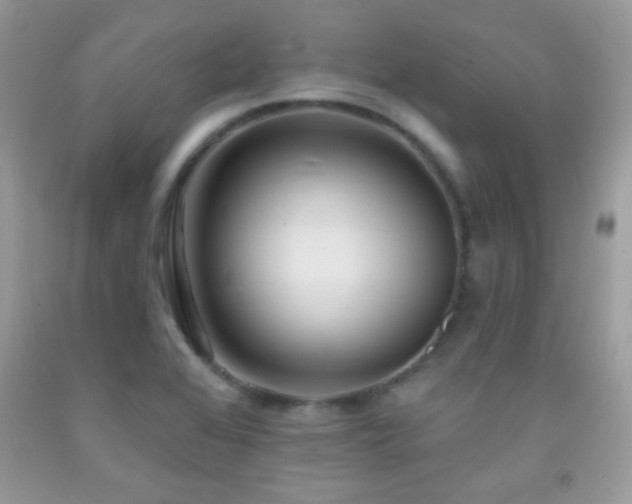 X0000092011368200709061523