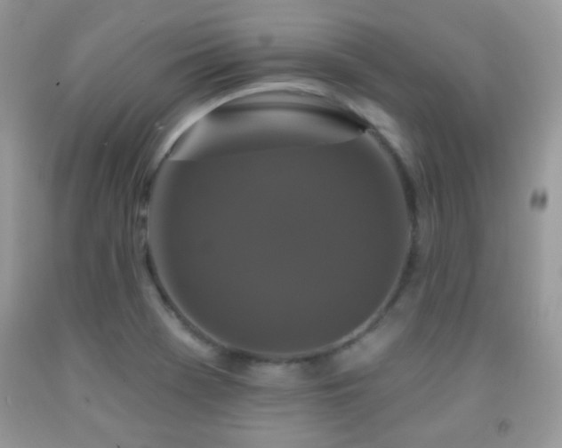 X0000092011369200709061523